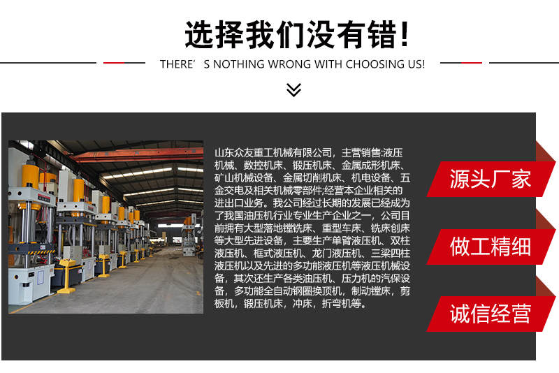 315噸鹽磚液壓機(jī) 315T牛羊舔磚油壓機(jī) 粉末成型壓力機(jī)